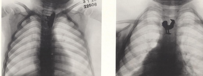 How focusing on employees lifted fundraising by 30pc